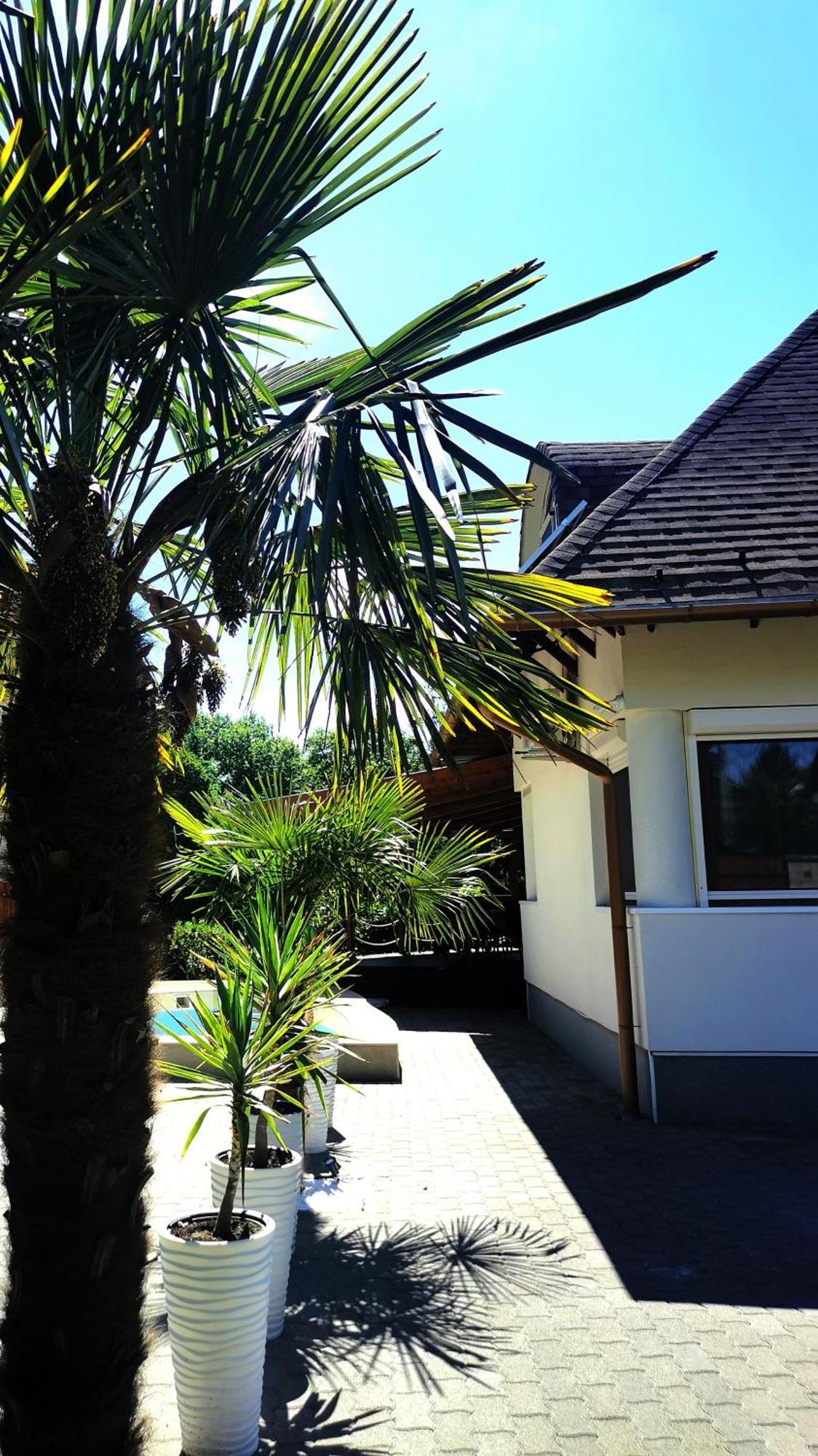 House4U Villa Balatonszárszó Exterior foto